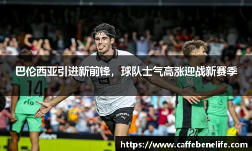 博鱼