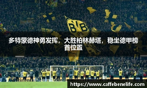 博鱼