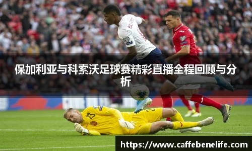博鱼