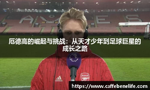 博鱼官方网站
