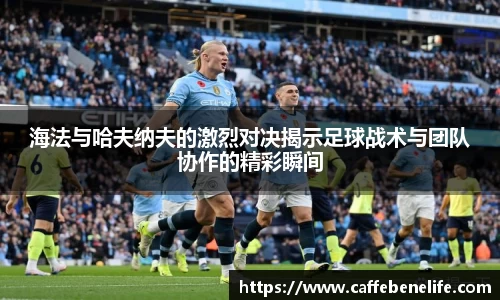 海法与哈夫纳夫的激烈对决揭示足球战术与团队协作的精彩瞬间