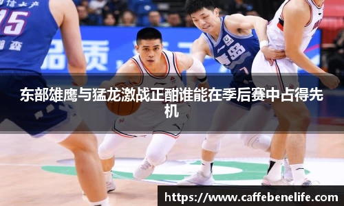 东部雄鹰与猛龙激战正酣谁能在季后赛中占得先机
