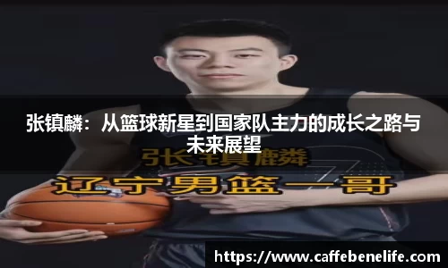 张镇麟：从篮球新星到国家队主力的成长之路与未来展望